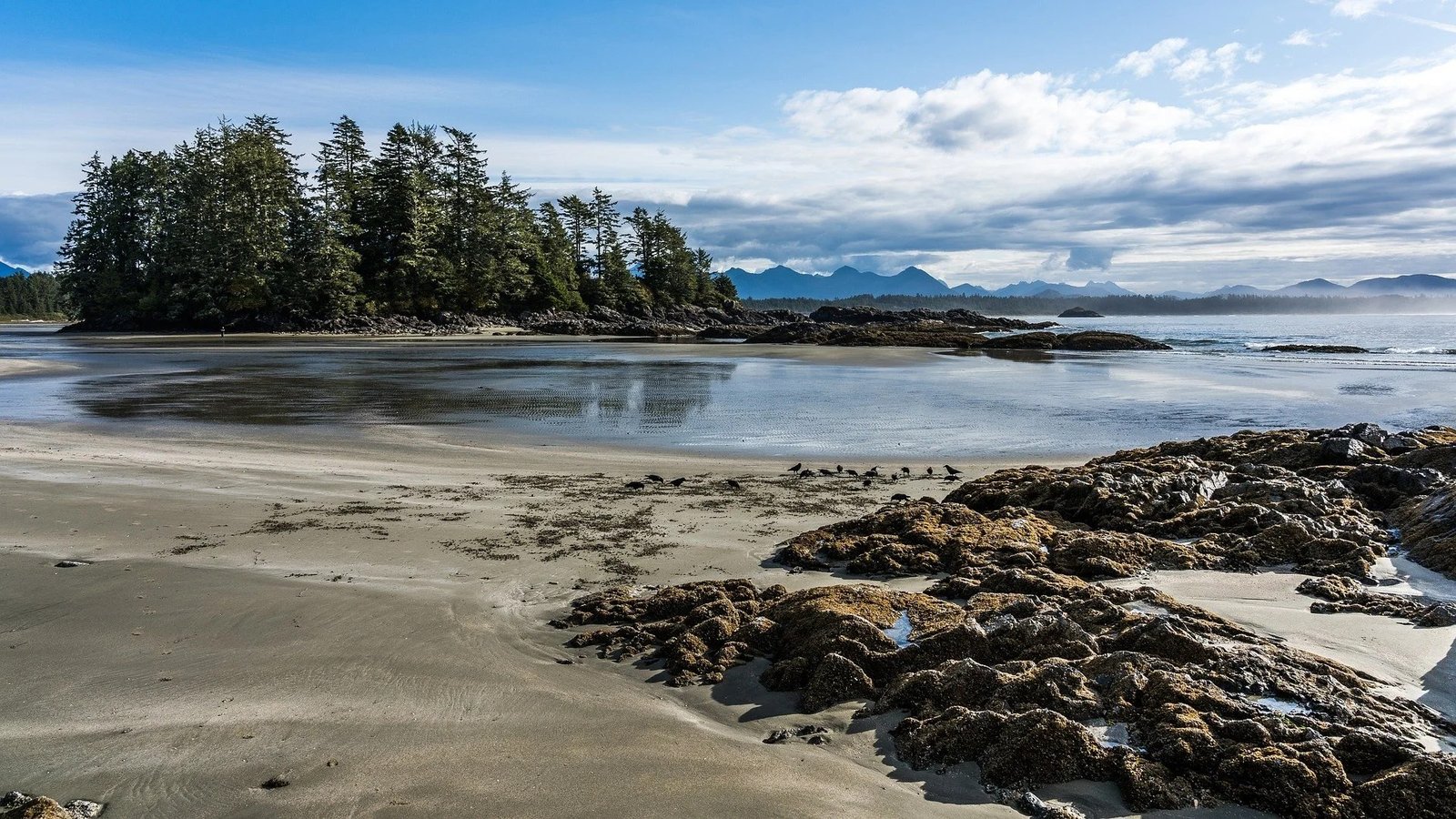 The Vancouver Island coastline in British Columbia, for illustration.