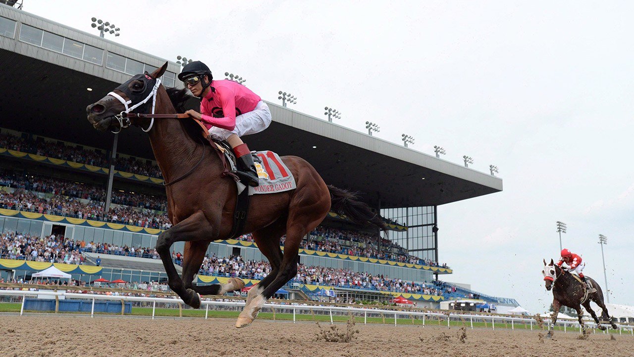 Horses race at Woodbine Racetrack in Toronto, the centre of Canadian thoroughbred racing.