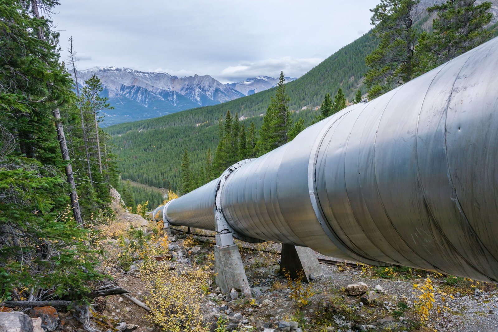 Pipeline infrastructure in Alberta's oilsands region, near the Cold Lake First Nations community challenging the Pacific Link designation.