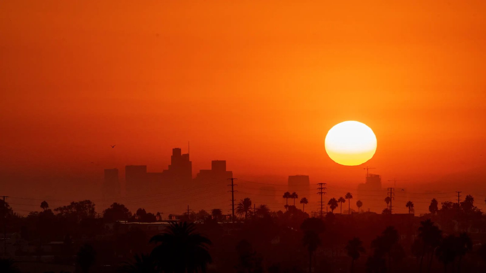 A rare October heat wave pushed downtown Los Angeles past 100 degrees on multiple days, with records falling across Southern California.