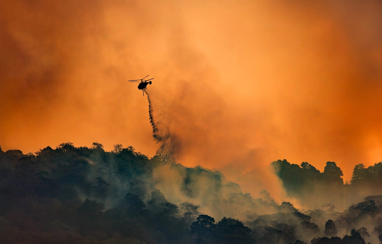 A forest fire burning in Indonesia, where peatland blazes have sent haze across the region.